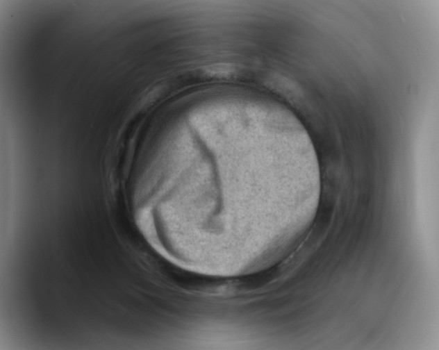 X0000089680116200707201708
