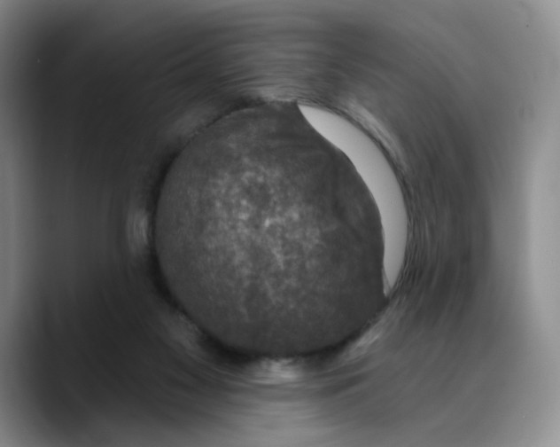 X0000089680117200707201708