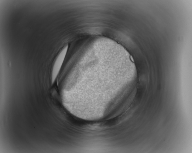 X0000089680120200707201708