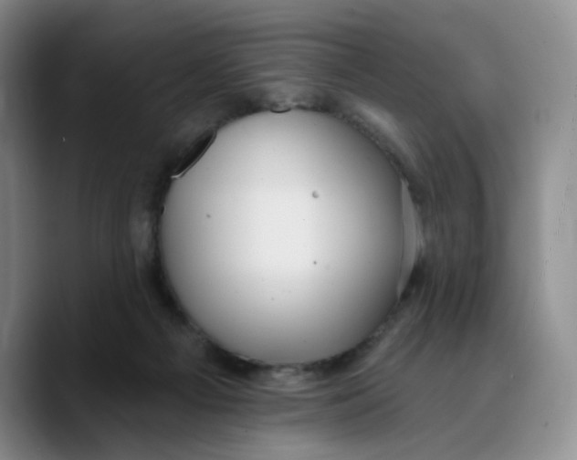 X0000089680121200707201708