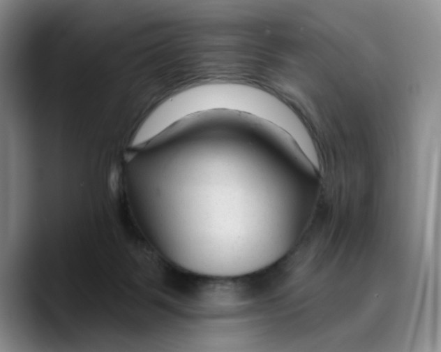 X0000089680123200707201708