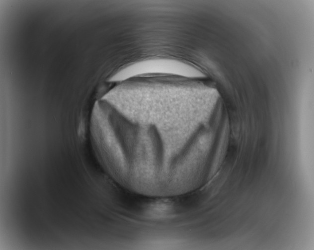 X0000089680124200707201708