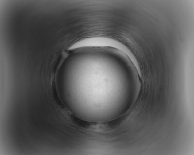 X0000089680125200707201708