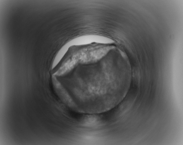 X0000089680127200707201707