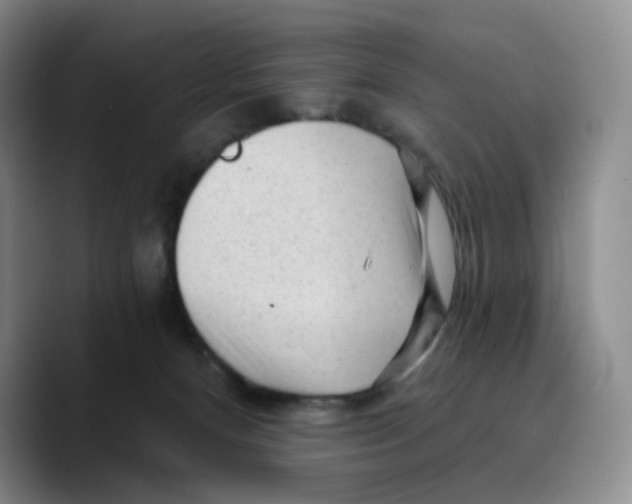 X0000089680128200707201707