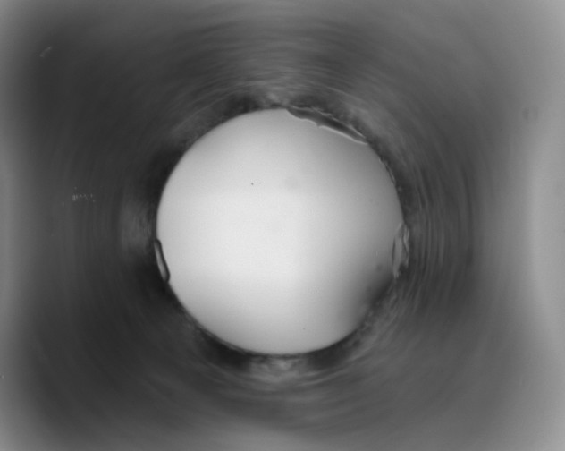 X0000089680129200707201707