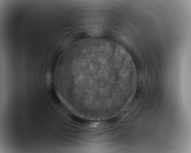 X0000089680130200707201707