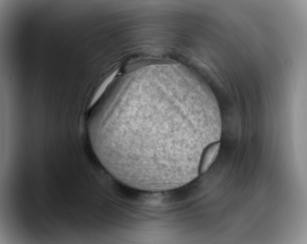 X0000089680131200707201707