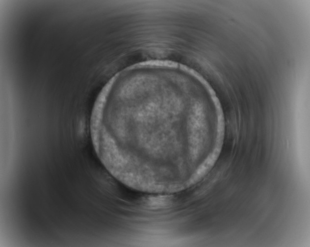 X0000089680134200707201707
