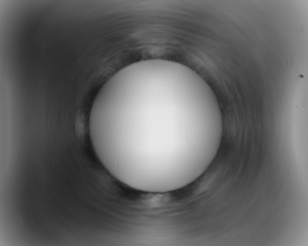X0000089680135200707201707