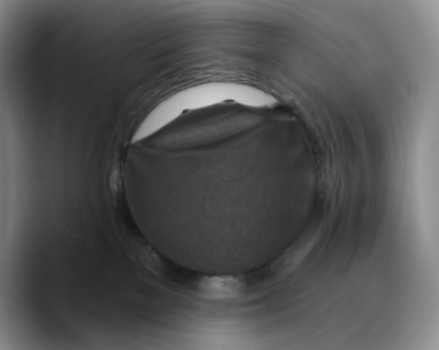X0000089680137200707201707