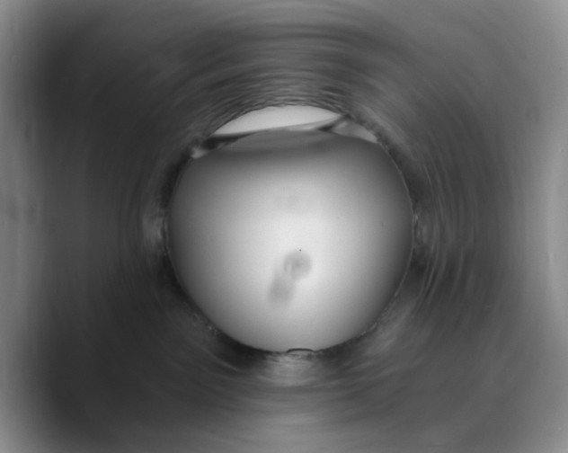 X0000089680141200707201707
