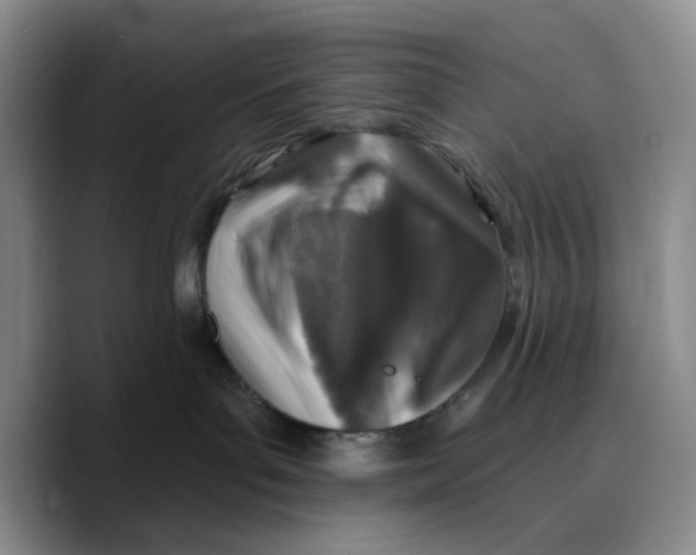 X0000089680143200707201707