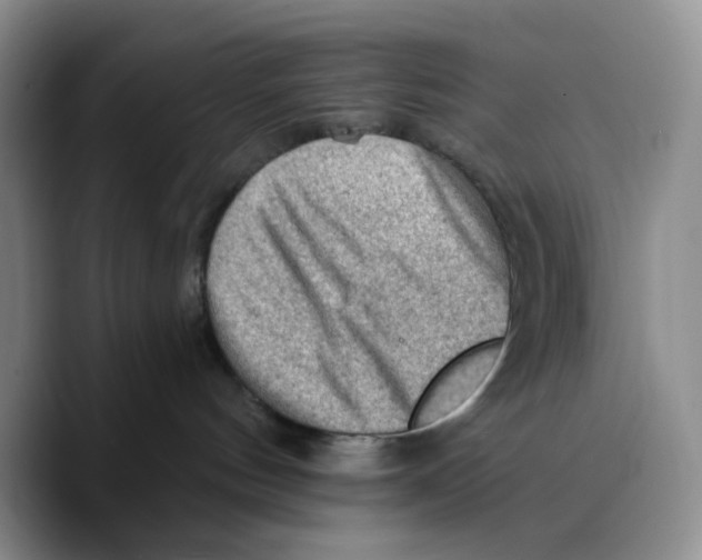 X0000089680144200707201707