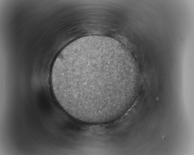 X0000089680146200707201707
