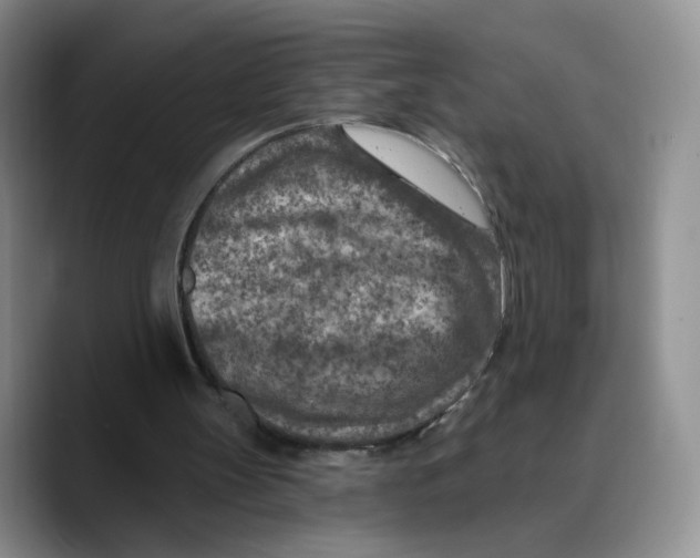 X0000089680147200707201707