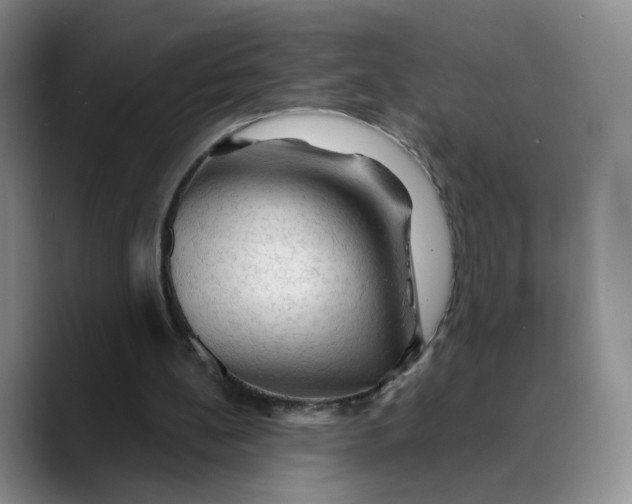 X0000089680148200707201707