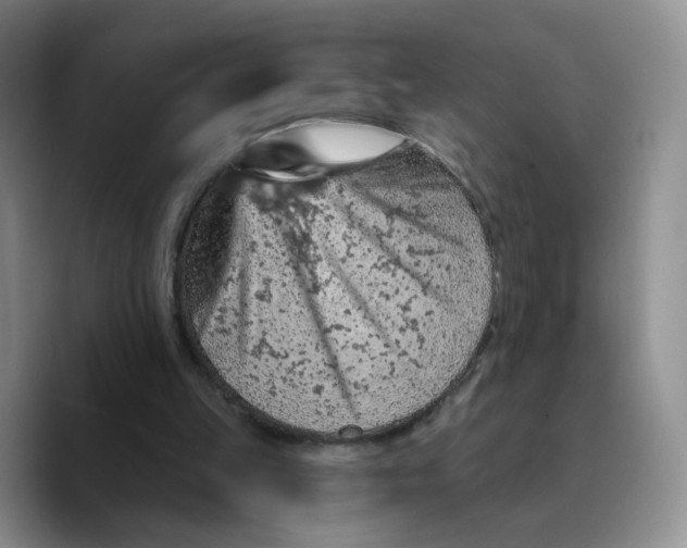 X0000089680149200707201707