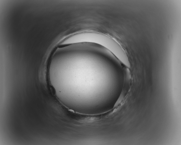X0000089680152200707201707