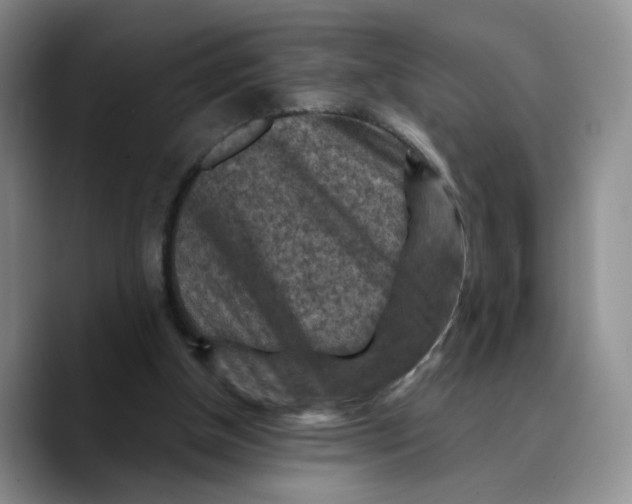 X0000089680154200707201707