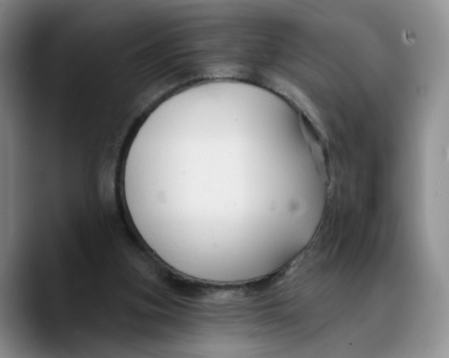 X0000089680155200707201707