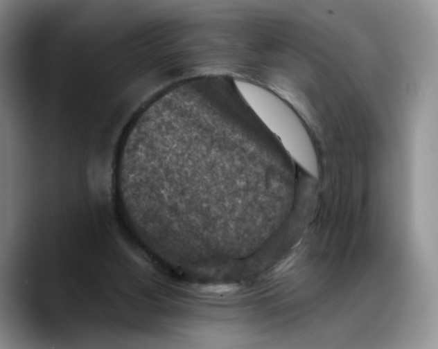 X0000089680156200707201707