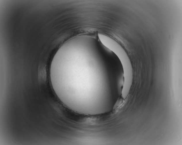 X0000089680158200707201707