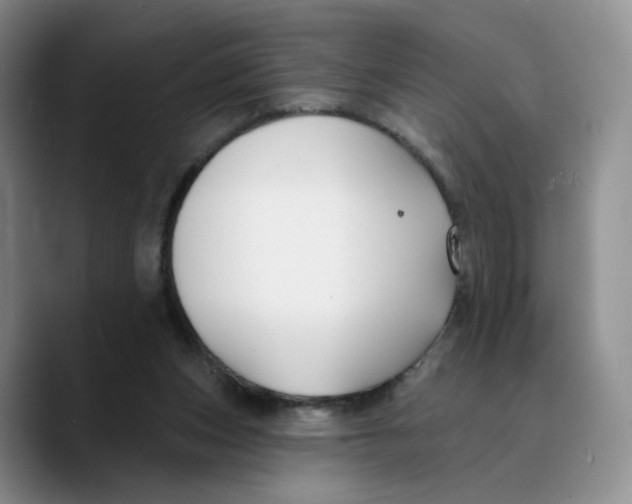 X0000089680159200707201707
