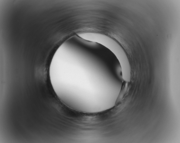 X0000089680160200707201707