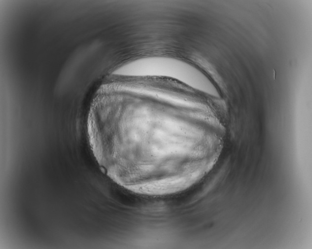 X0000089680161200707201707