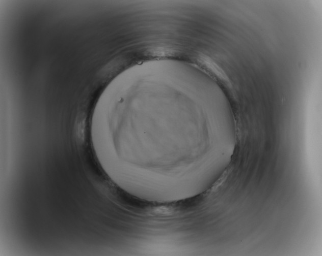 X0000089680163200707201707