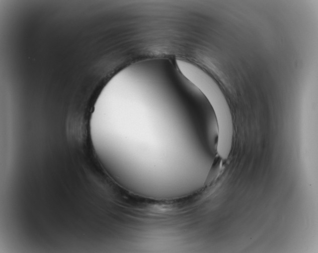 X0000089680164200707201707