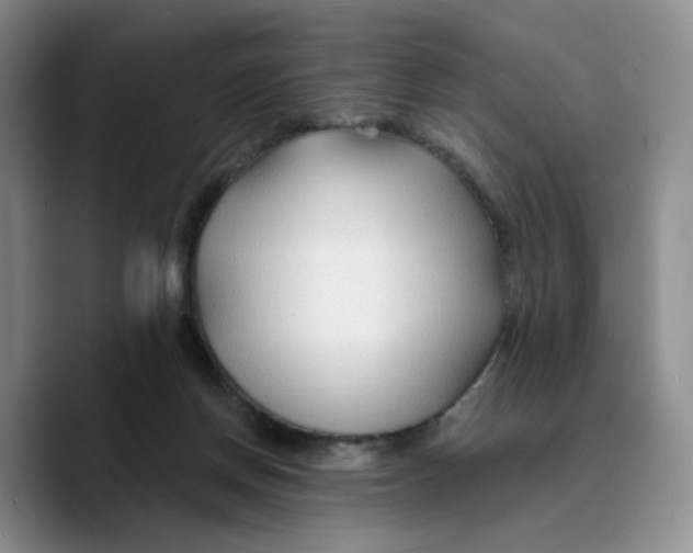 X0000089680166200707201707