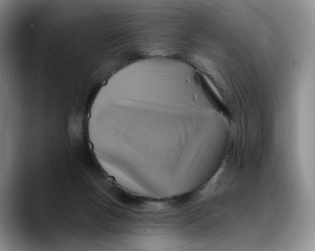 X0000089680167200707201707