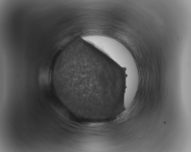 X0000089680168200707201707