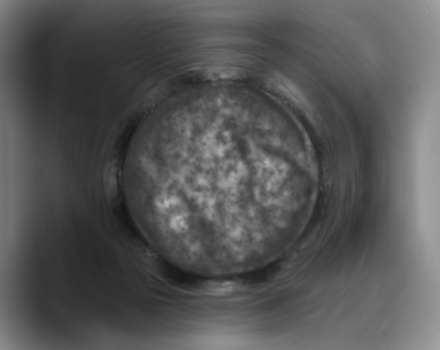 X0000089680169200707201707
