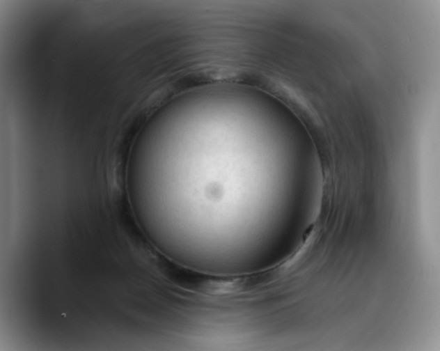 X0000089680170200707201707