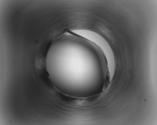 X0000089680172200707201707