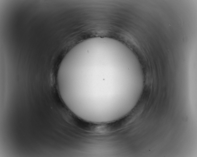 X0000089680173200707201707