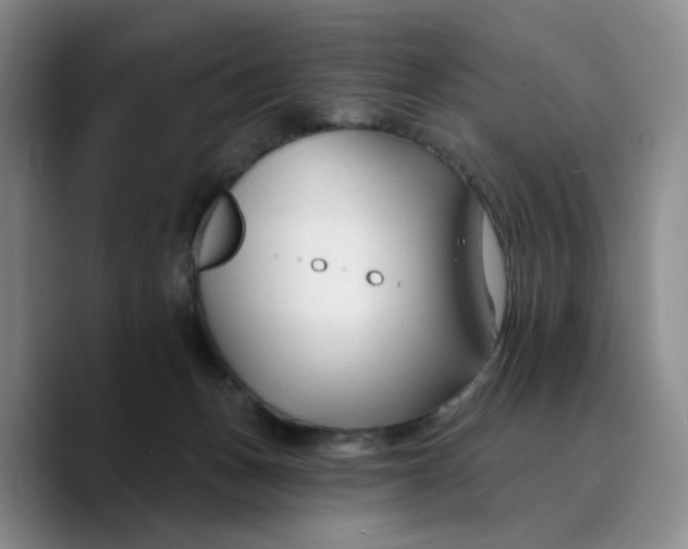 X0000089680175200707201707