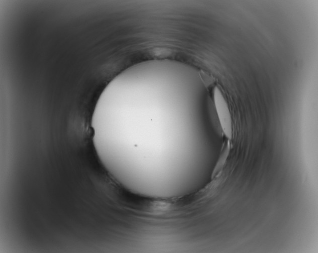 X0000089680176200707201707