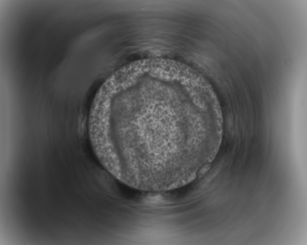 X0000089680177200707201707