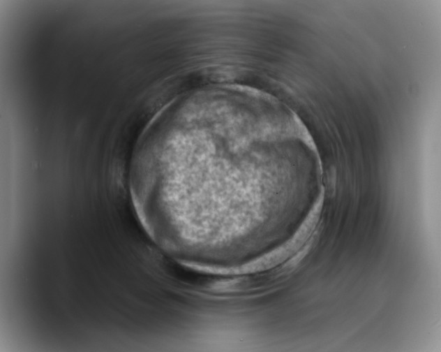 X0000089680178200707201707