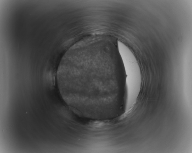 X0000089680180200707201707