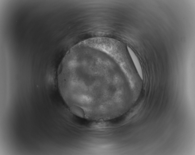 X0000089680181200707201707