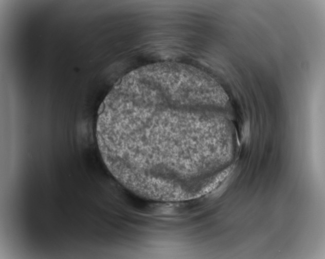 X0000089680182200707201707