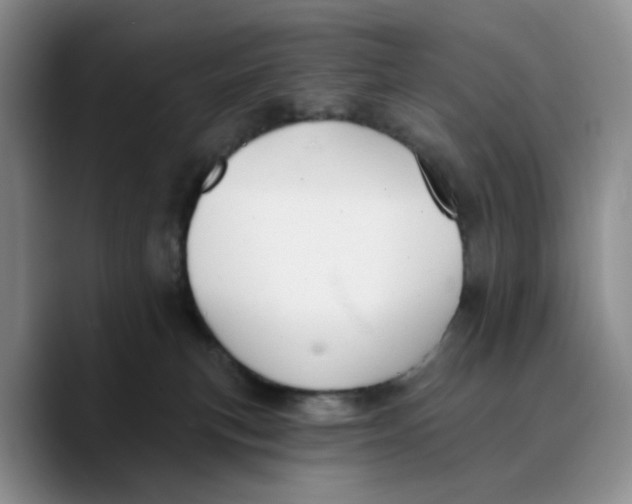 X0000089680183200707201707
