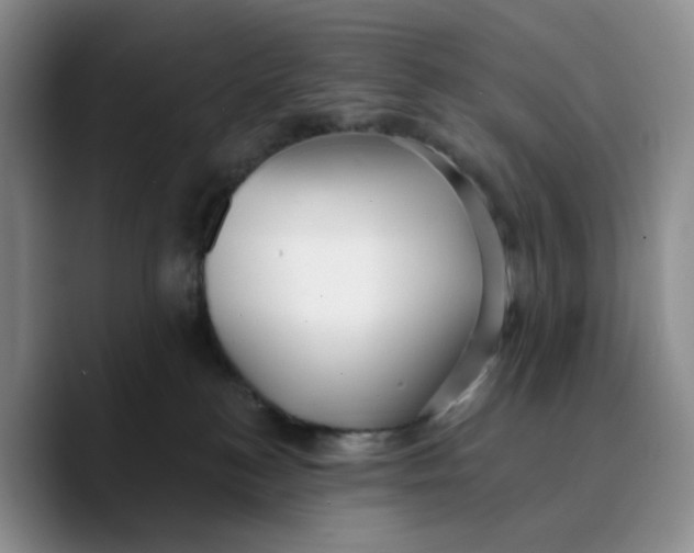 X0000089680184200707201707