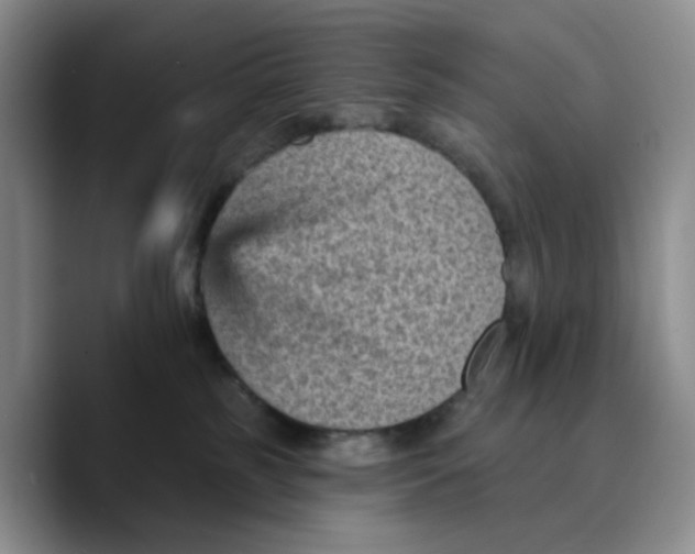 X0000089680185200707201707