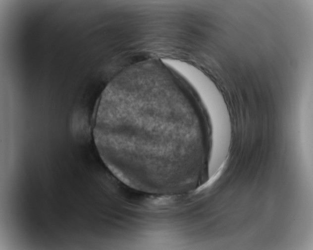 X0000089680186200707201707